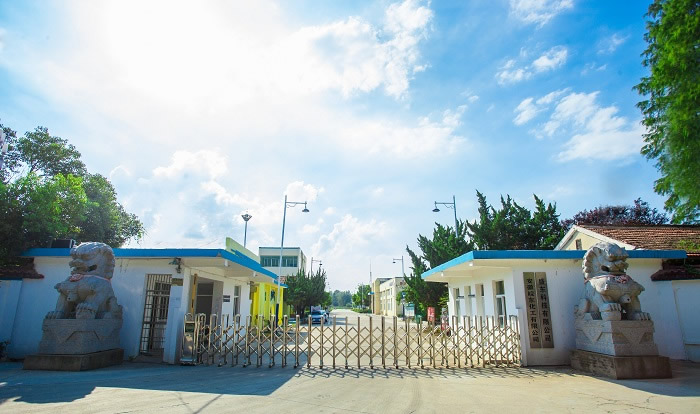 ��˾����2