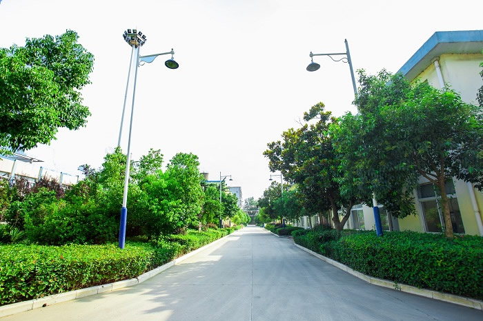 ����һ��1