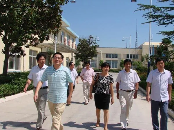 The "Technical Renovation Project of WDX60 Adsorbent Resin with Extra-Large Specific Surface Area with an Annual Output of 5000 Cubic Meters" successfully passed the provincial-level acceptance inspection.