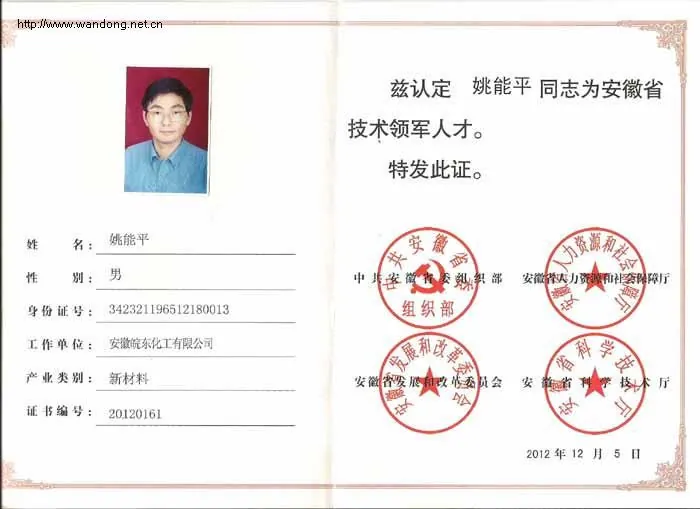 Comrade Yao Nengping from our company was awarded the title of Anhui Provincial Technical Leading Talent.