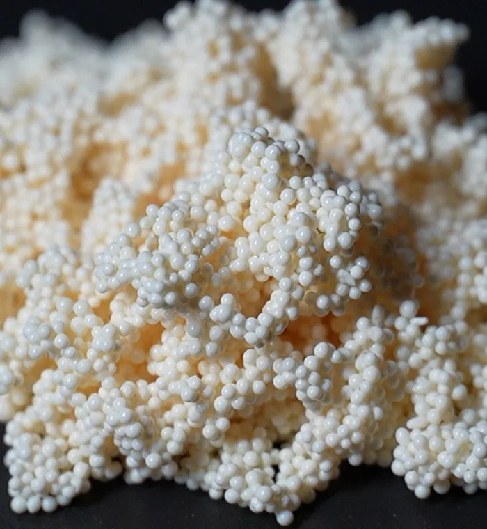 D201大孔强碱性苯乙烯系I型阴离子交换树脂-2